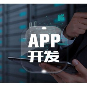 共享軟件開發(fā) 深圳軟件開發(fā)商家如何打造高效解決方案